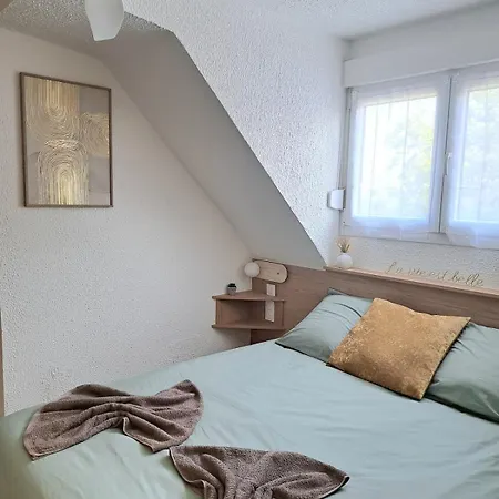 Chez Agnes - Charme Alsacien Au Coeur De Colmar, Avec Parking Prive Lägenhet Colmar