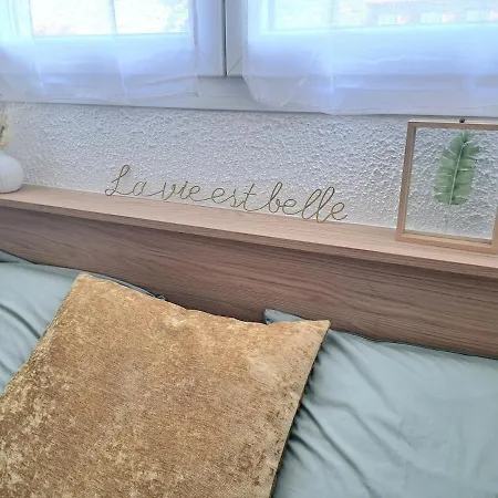 Lägenhet Chez Agnes - Charme Alsacien Au Coeur De Colmar, Avec Parking Prive *