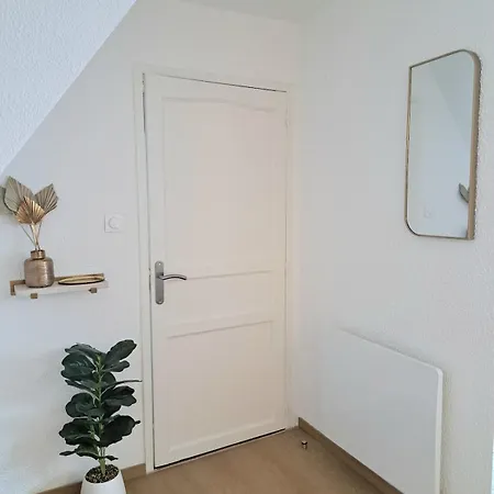 Chez Agnes - Charme Alsacien Au Coeur De Colmar, Avec Parking Prive * Colmar