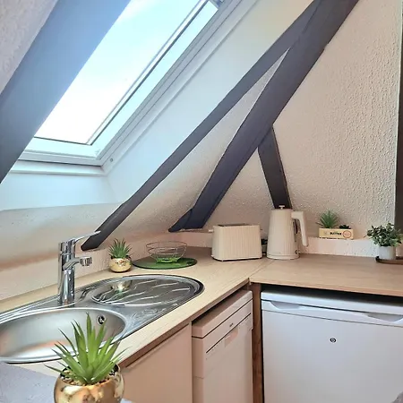 Chez Agnes - Charme Alsacien Au Coeur De Colmar, Avec Parking Prive Lägenhet *