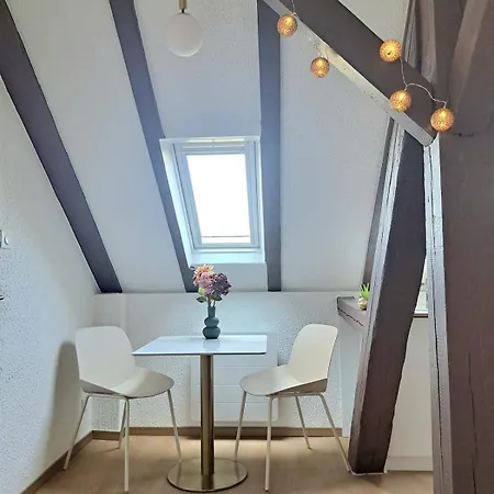 Lägenhet Chez Agnes - Charme Alsacien Au Coeur De Colmar, Avec Parking Prive Colmar