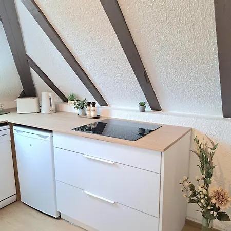 Lägenhet Chez Agnes - Charme Alsacien Au Coeur De Colmar, Avec Parking Prive