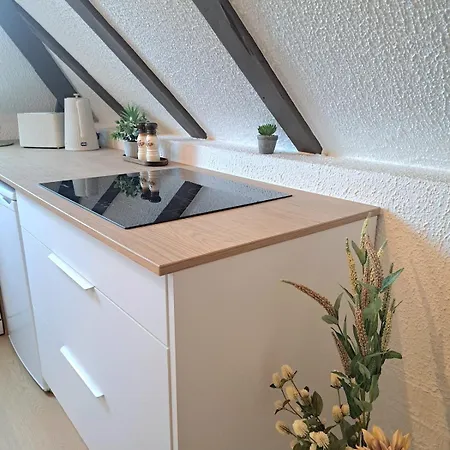 Chez Agnes - Charme Alsacien Au Coeur De Colmar, Avec Parking Prive Lägenhet Colmar