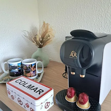Chez Agnes - Charme Alsacien Au Coeur De Colmar, Avec Parking Prive Colmar