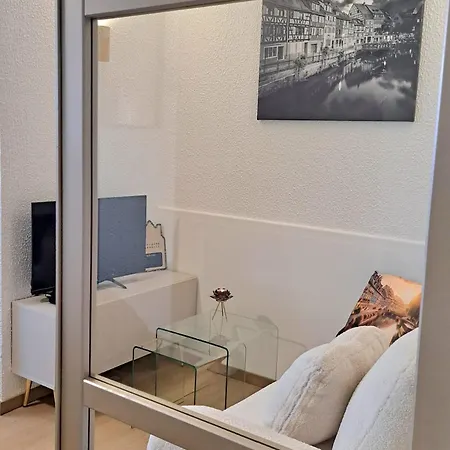Lägenhet Chez Agnes - Charme Alsacien Au Coeur De Colmar, Avec Parking Prive *
